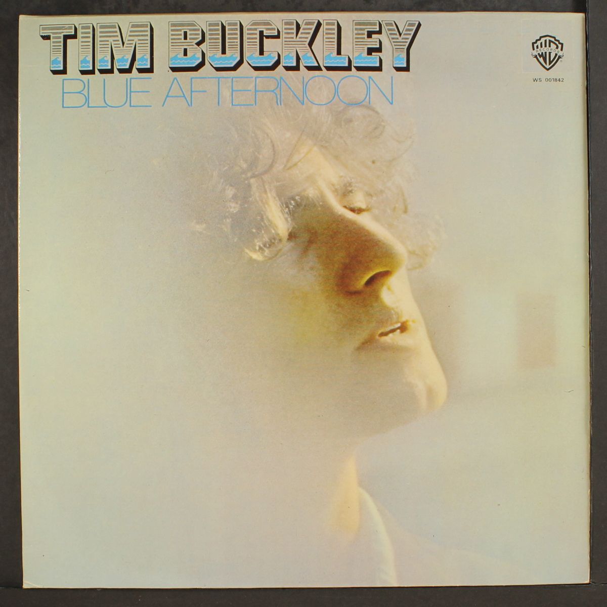 blue afternoon by TIM BUCKLEY