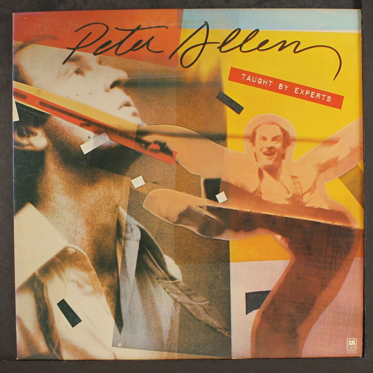 taught by experts by PETER ALLEN