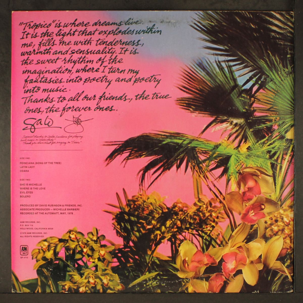 tropico by GATO BARBIERI