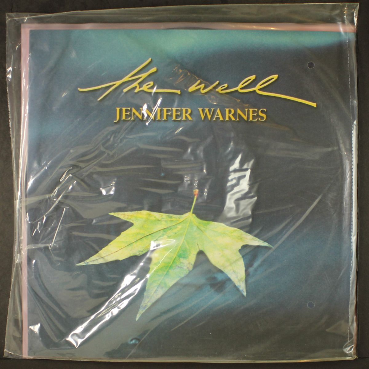 the well by JENNIFER WARNES
