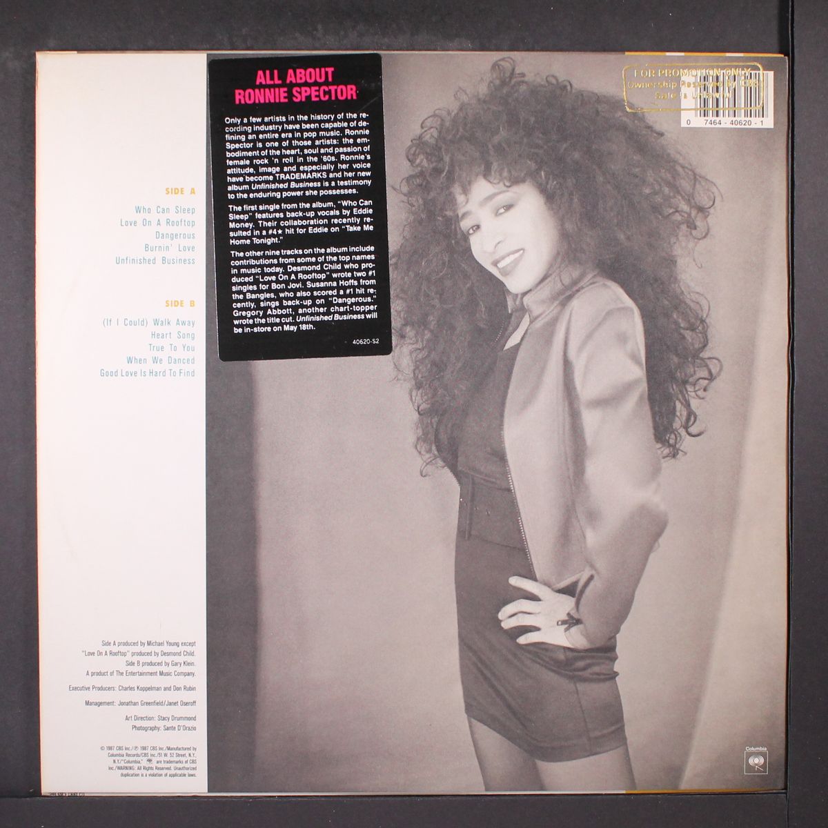 unfinished business by RONNIE SPECTOR