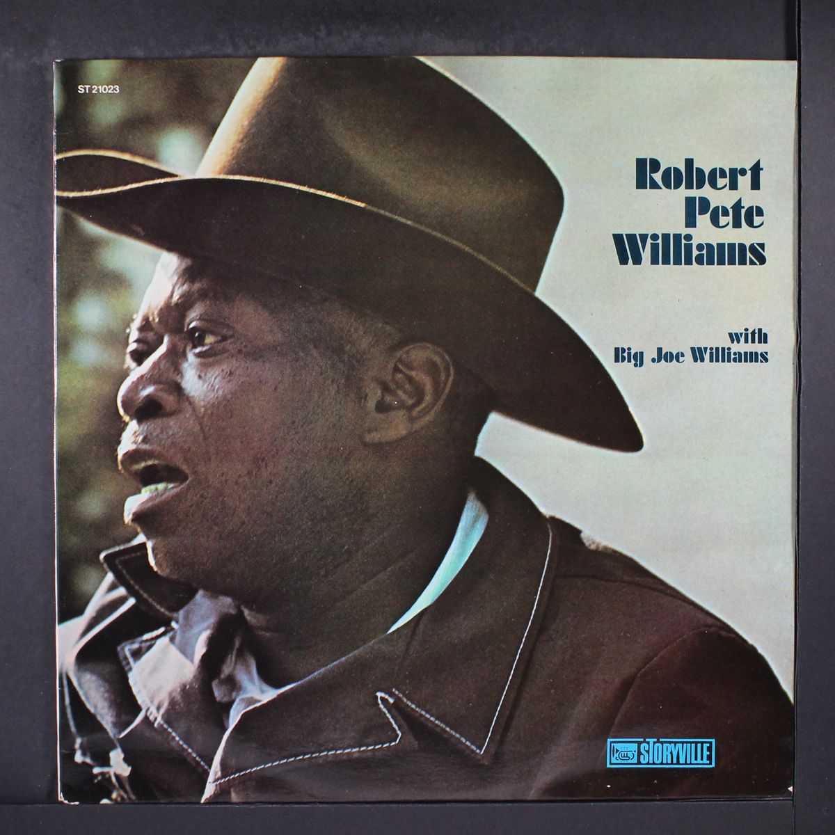wih big joe williams by ROBERT PETE WILLIAMS