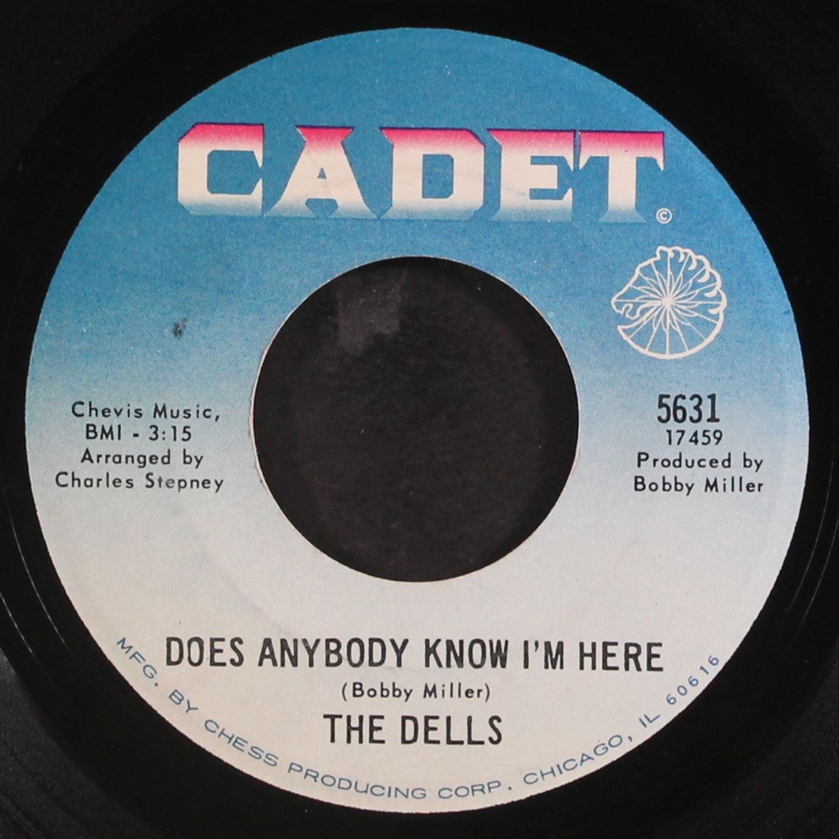make sure / does anybody know i'm here by DELLS