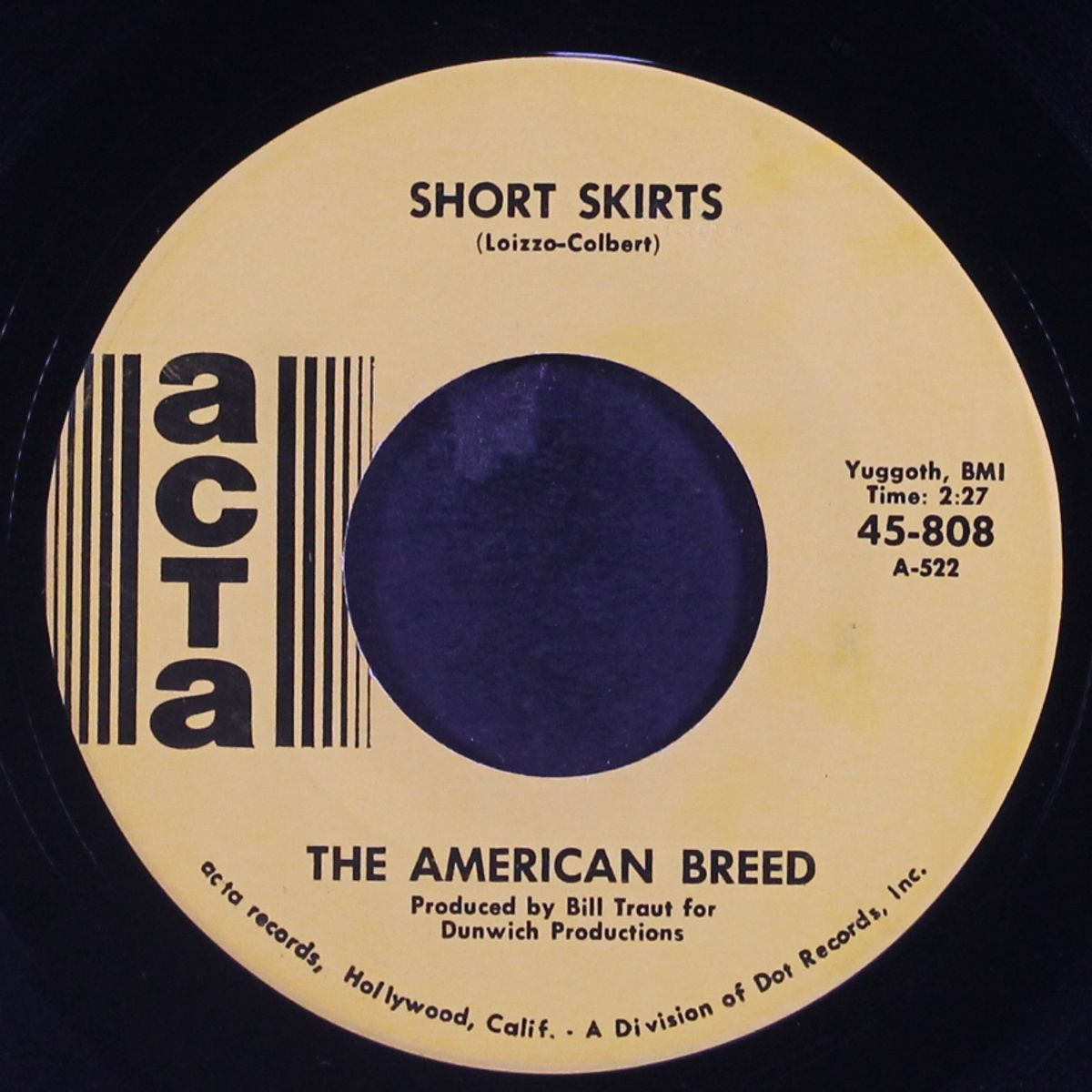 don't forget about me / short skirts by AMERICAN BREED
