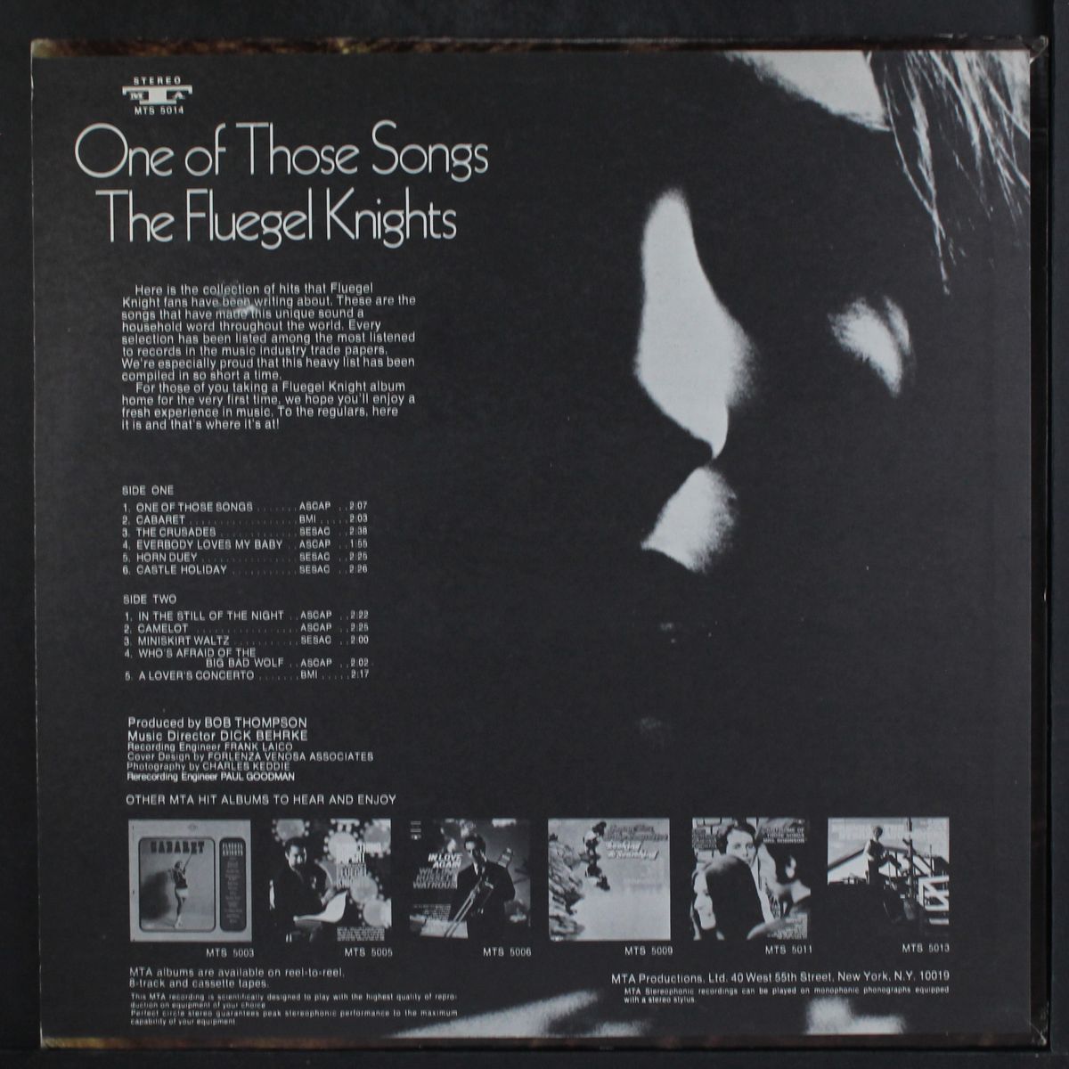 one of those songs by FLUEGEL KNIGHTS