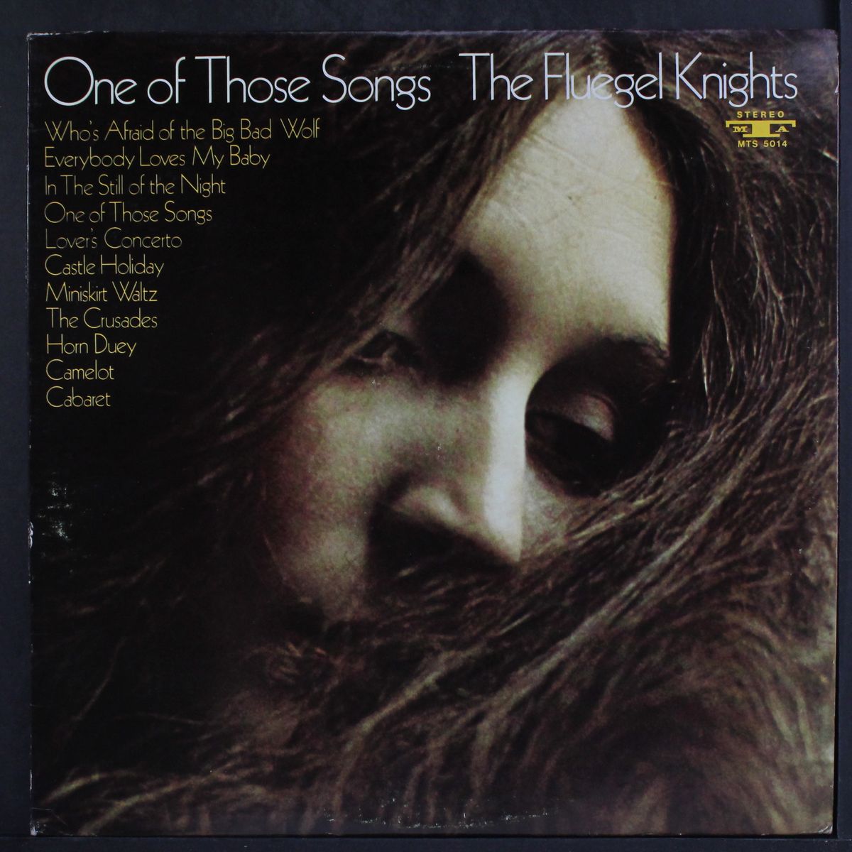 one of those songs by FLUEGEL KNIGHTS