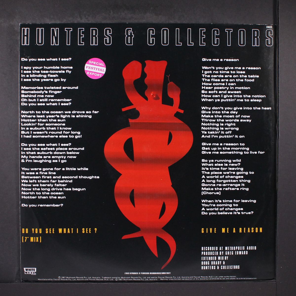 do you see what i see by HUNTERS & COLLECTORS