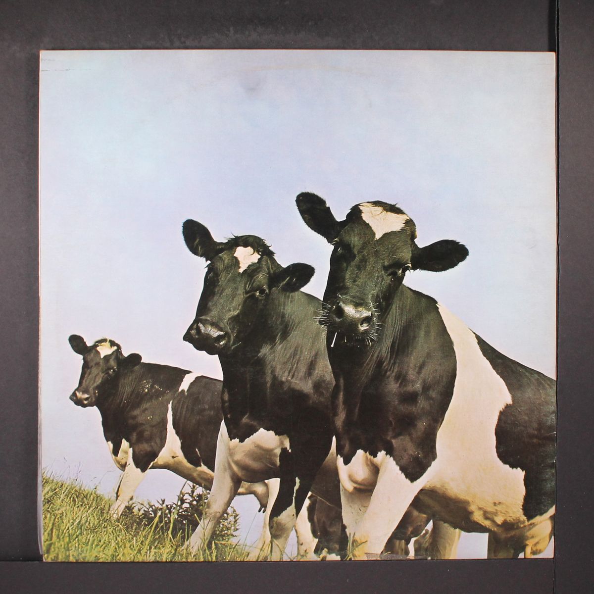 atom heart mother by PINK FLOYD