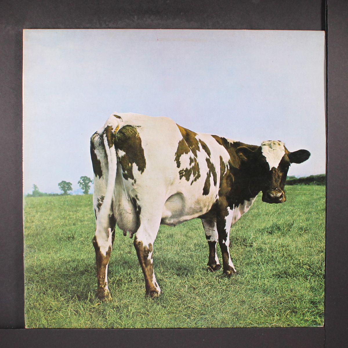 atom heart mother by PINK FLOYD