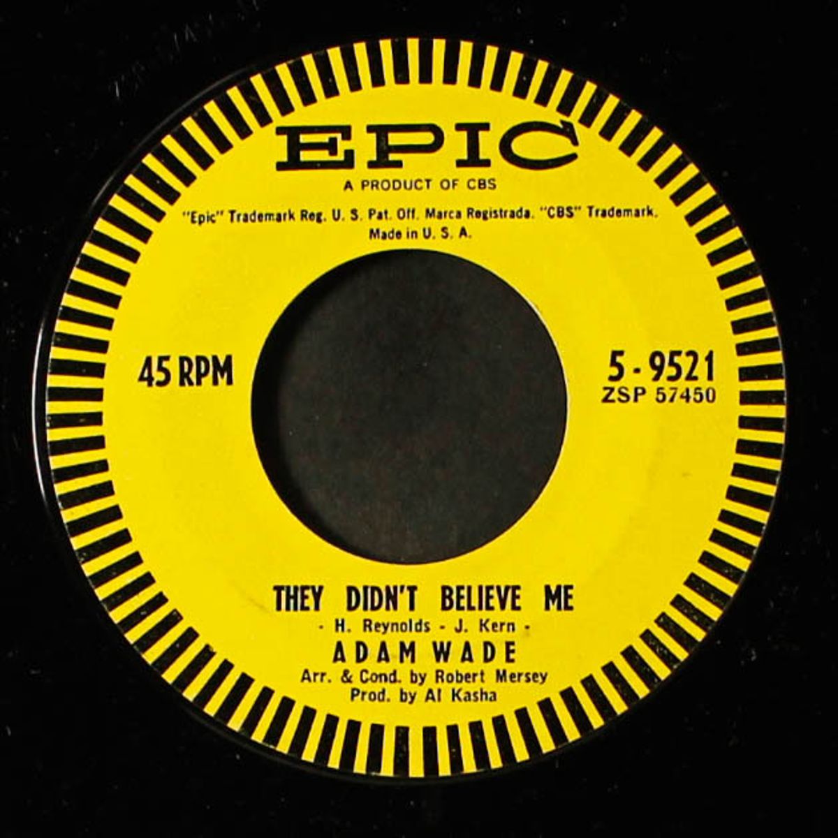 i'm climbin' / they didn't believe me by ADAM WADE