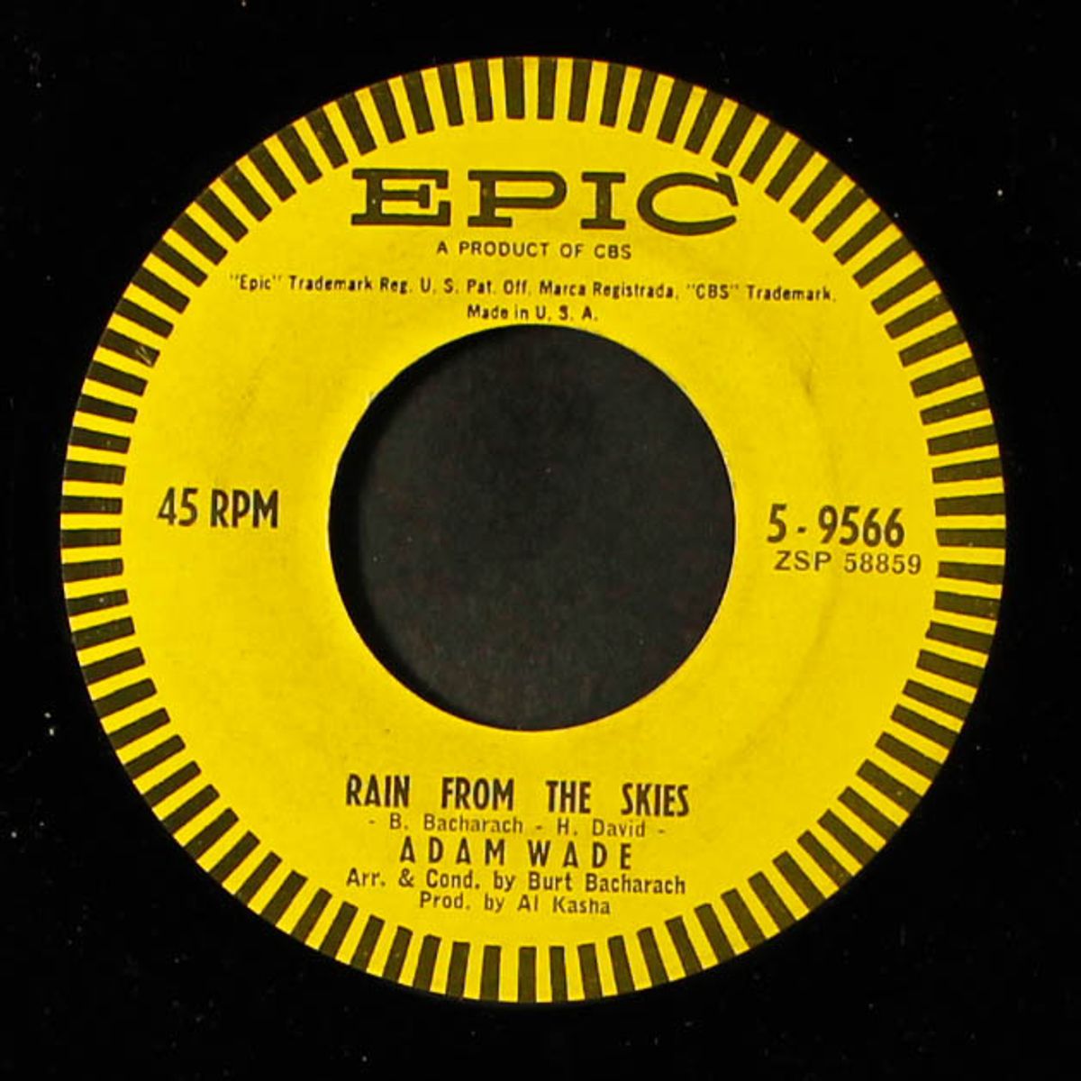 rain from the skies / don't let me cross over by ADAM WADE