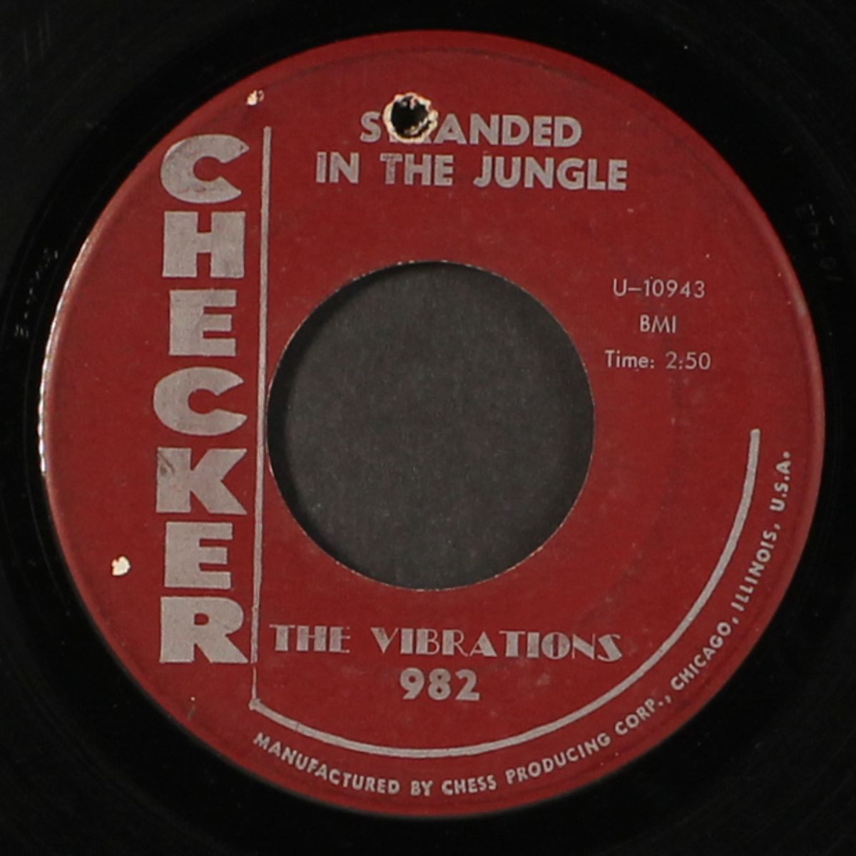 stranded in the jungle / don't say goodbye by VIBRATIONS