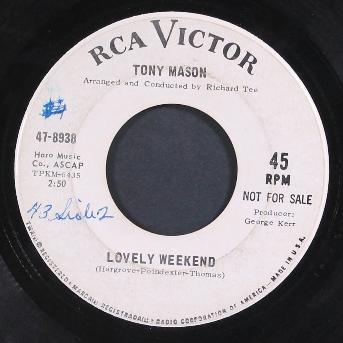 bring the country to the city / lovely weekend by TONY MASON