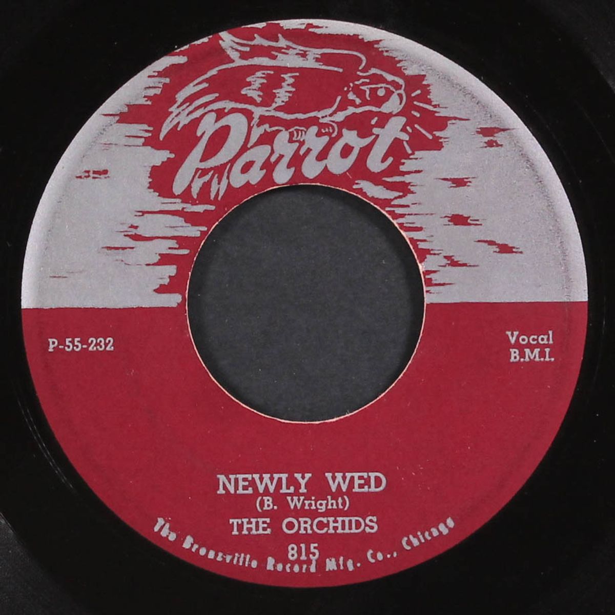 newly wed / you're everything to me by ORCHIDS