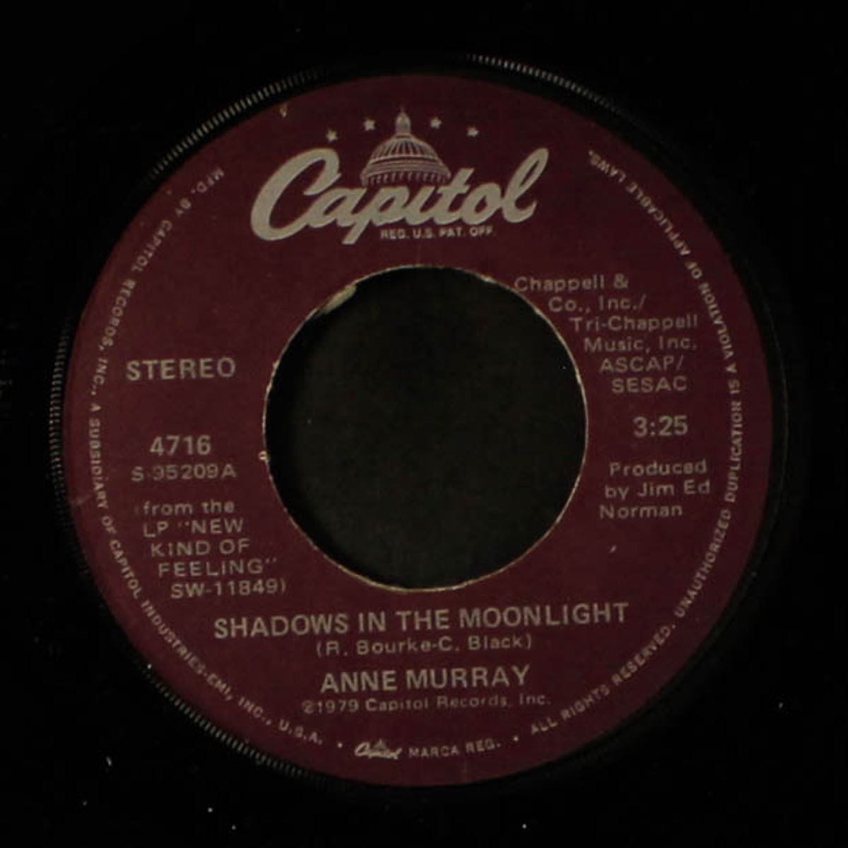 shadows in the moonlight / yucatan cafe by ANNE MURRAY