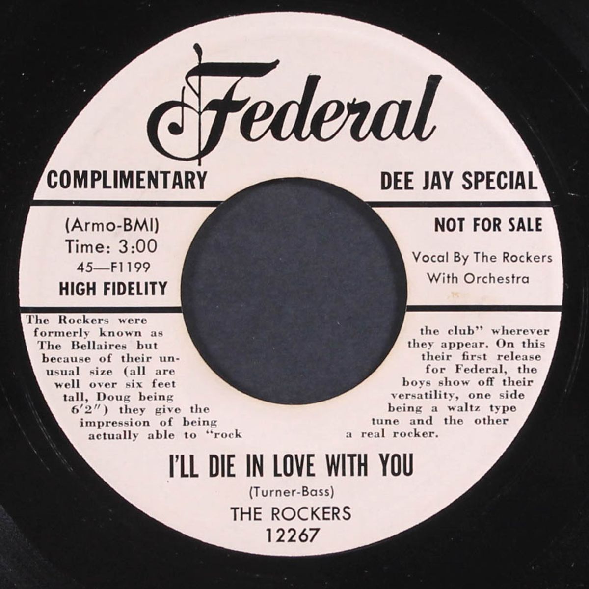 what am i to do / i'll die in love with you by ROCKERS