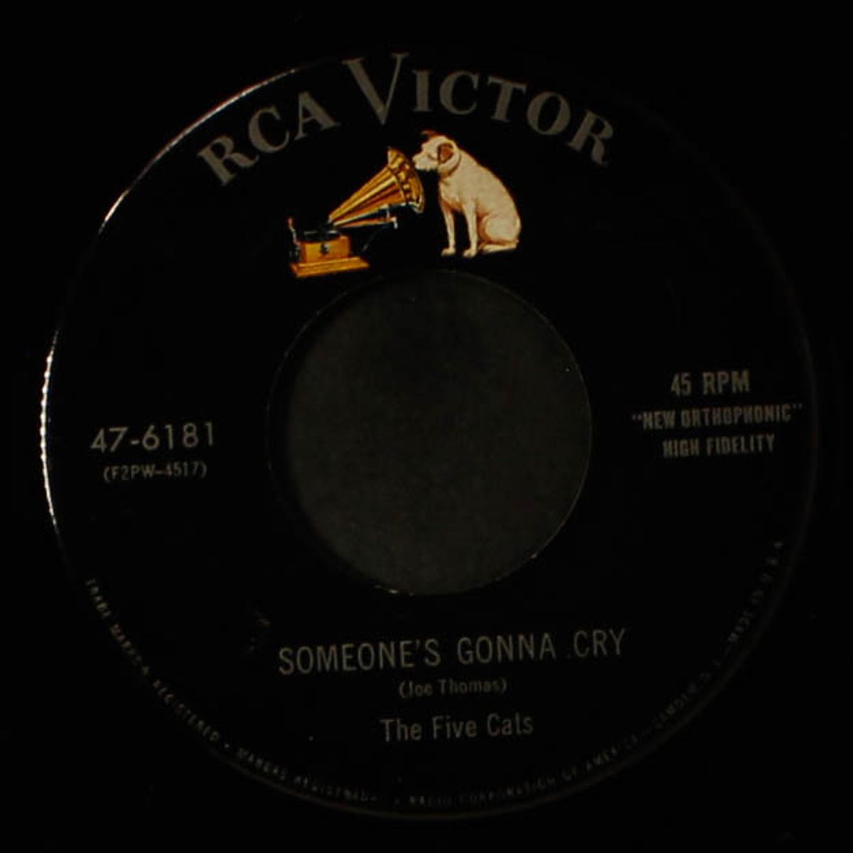 i was so wrong / someone's gonna cry by FIVE CATS