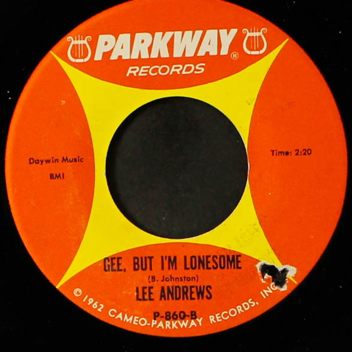 gee, but i'm lonesome / i'm sorry, pillow by LEE ANDREWS & GROUP