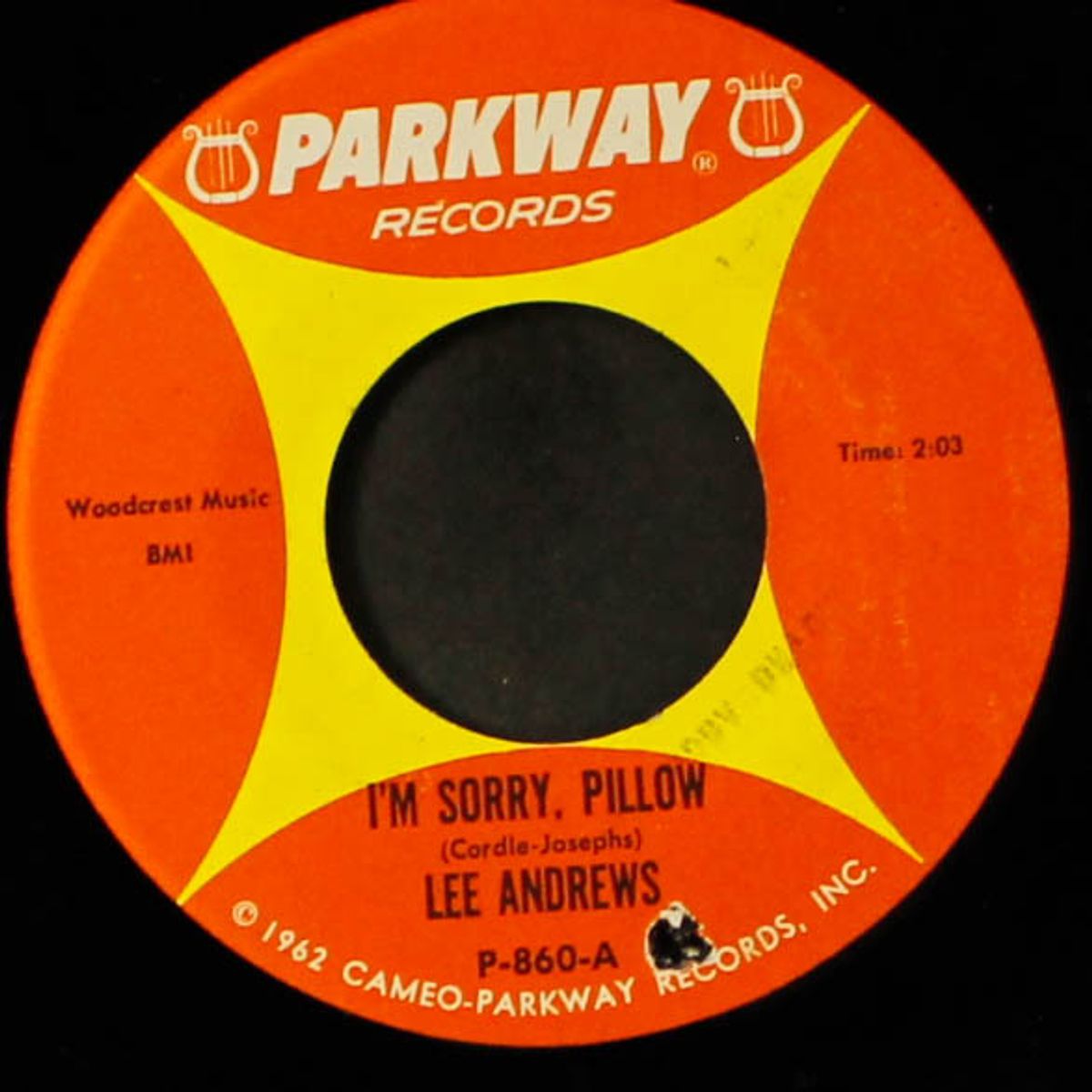 gee, but i'm lonesome / i'm sorry, pillow by LEE ANDREWS & GROUP