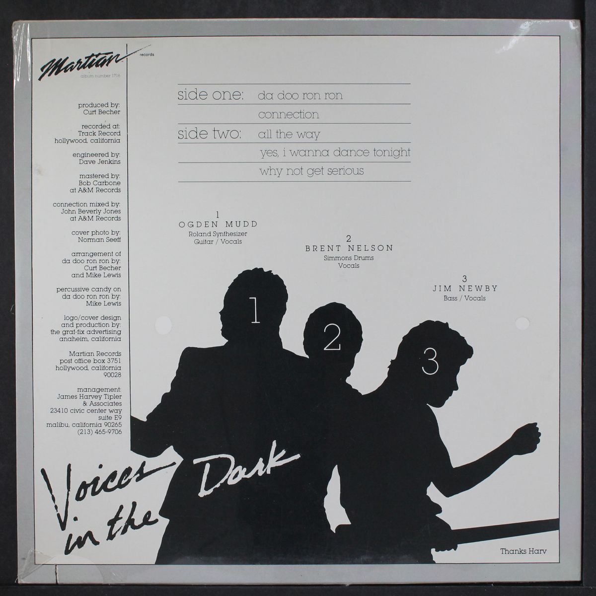 five track lp by VOICES IN THE DARK