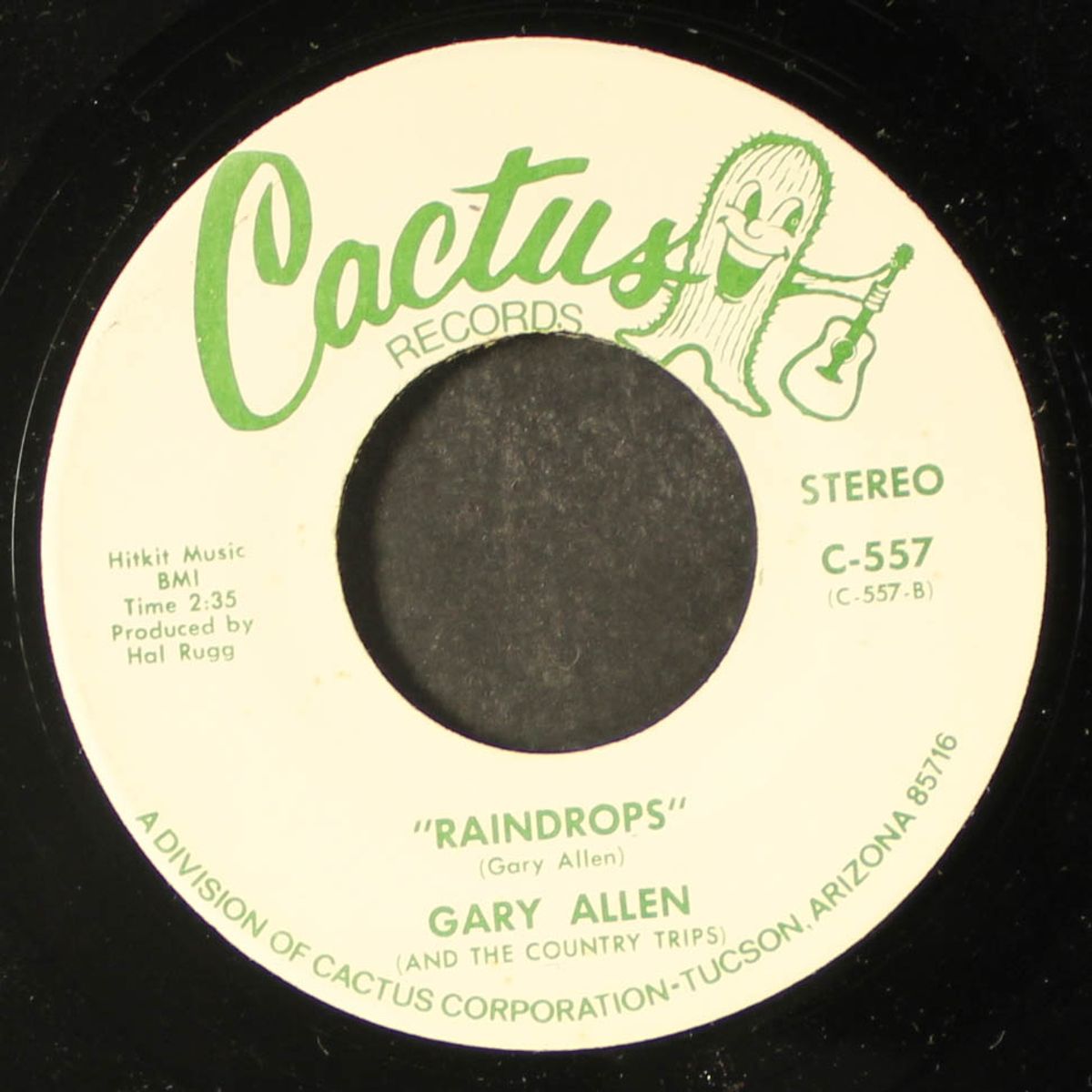 i'm alone / raindrops by GARY ALLEN