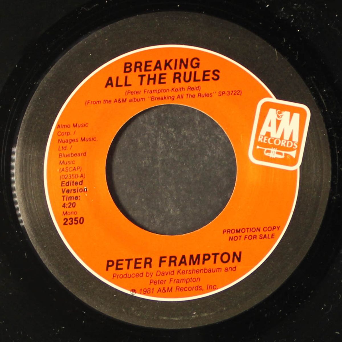 breaking all the rules by PETER FRAMPTON