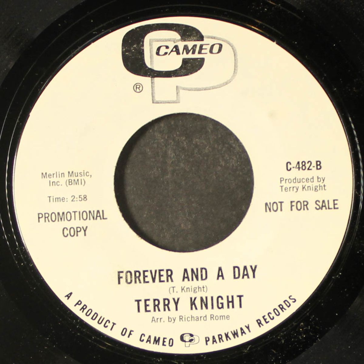 lizbeth peach / forever & a day by TERRY KNIGHT