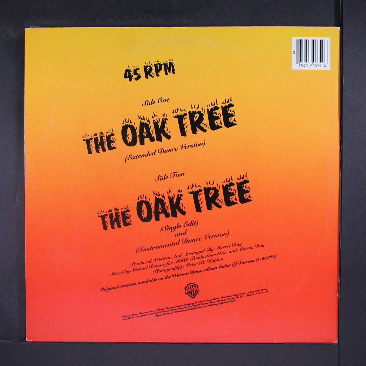 the oak tree / short by MORRIS DAY