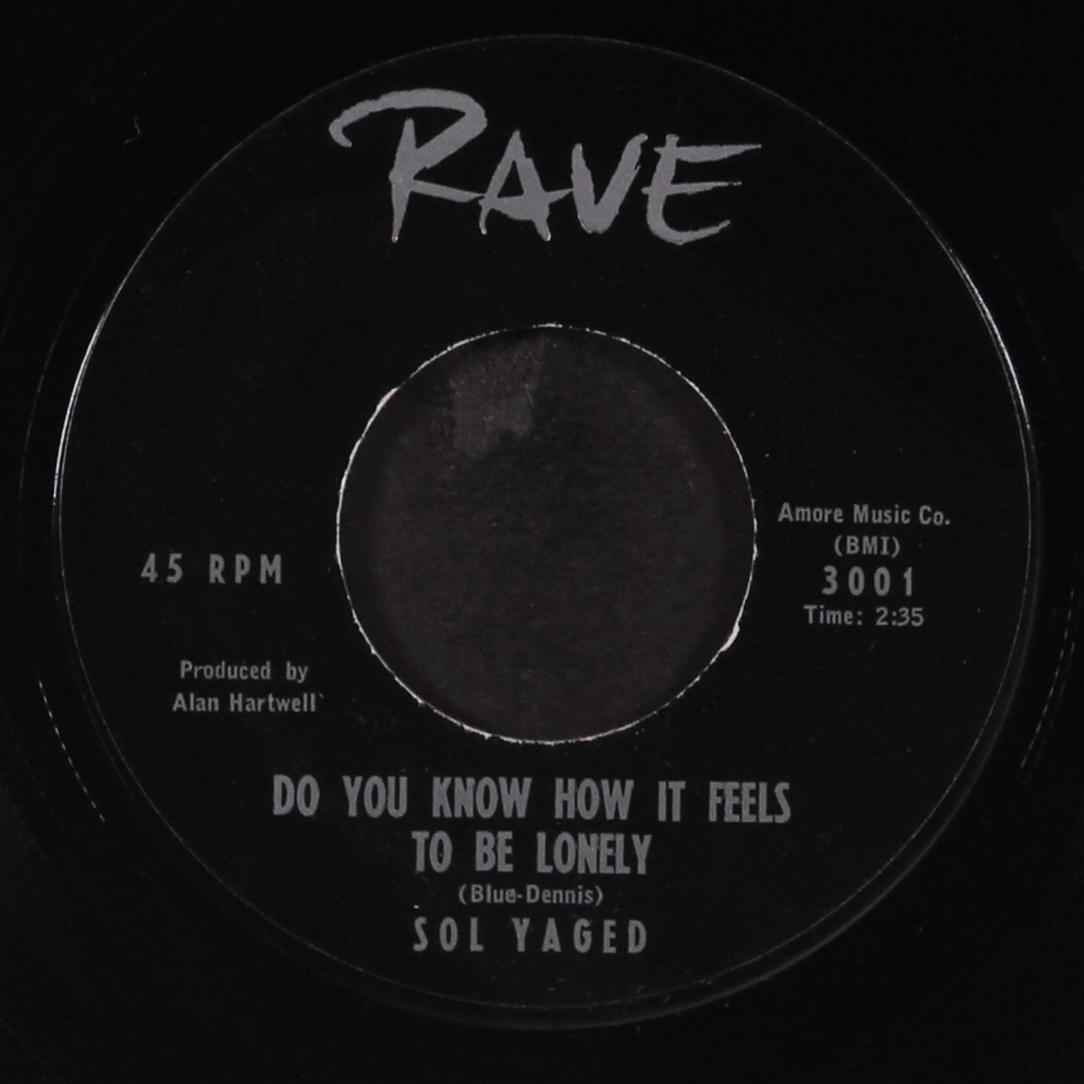 do you know how it feels to be lonely / one more time by SOL YAGED