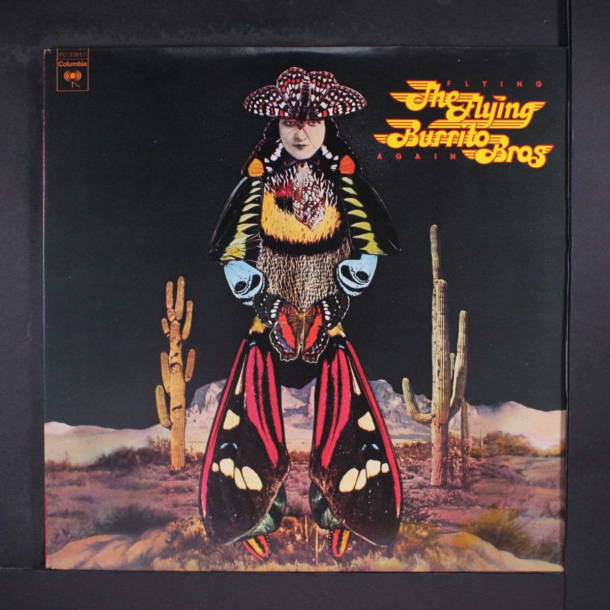 flying again by FLYING BURRITO BROS