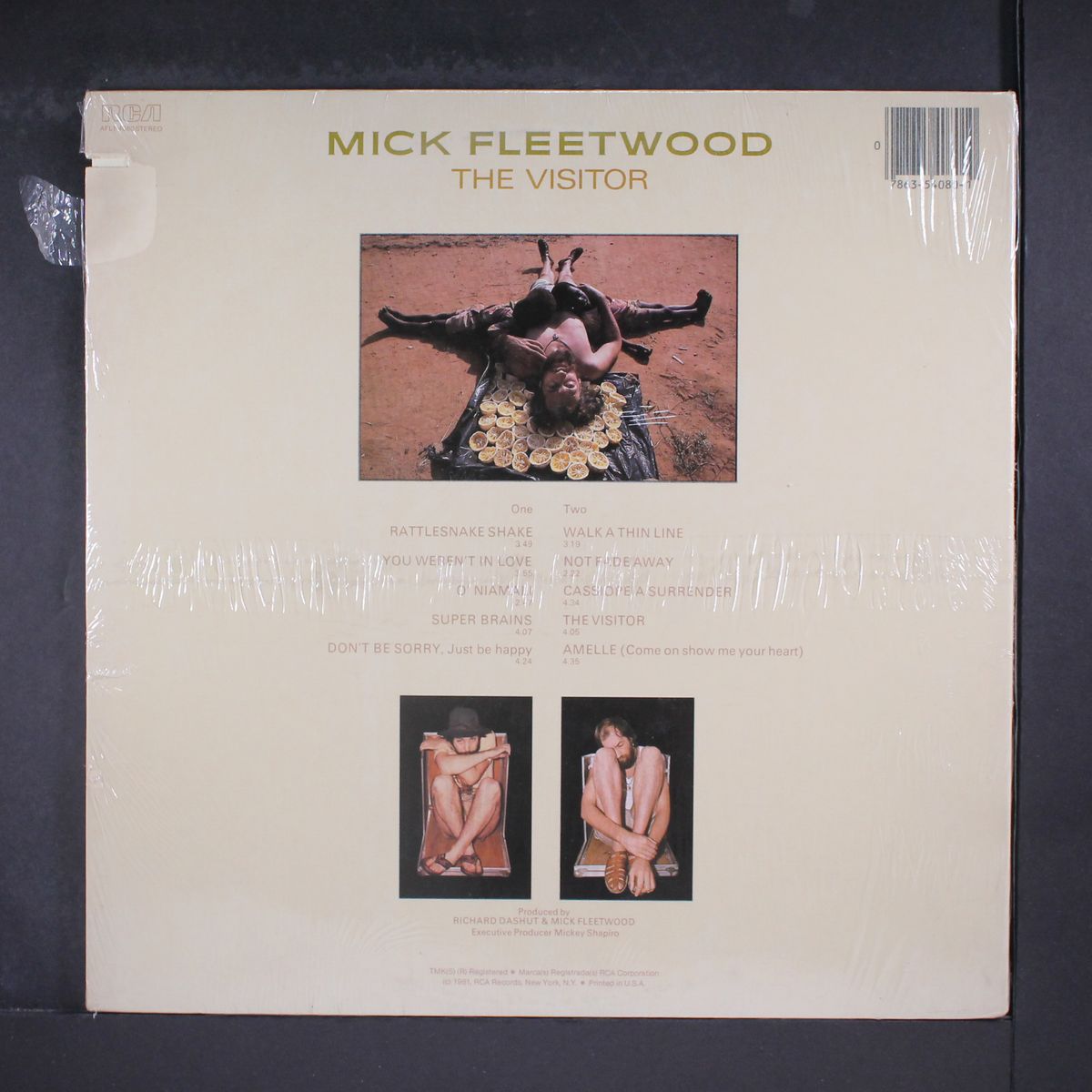 the visitor by MICK FLEETWOOD