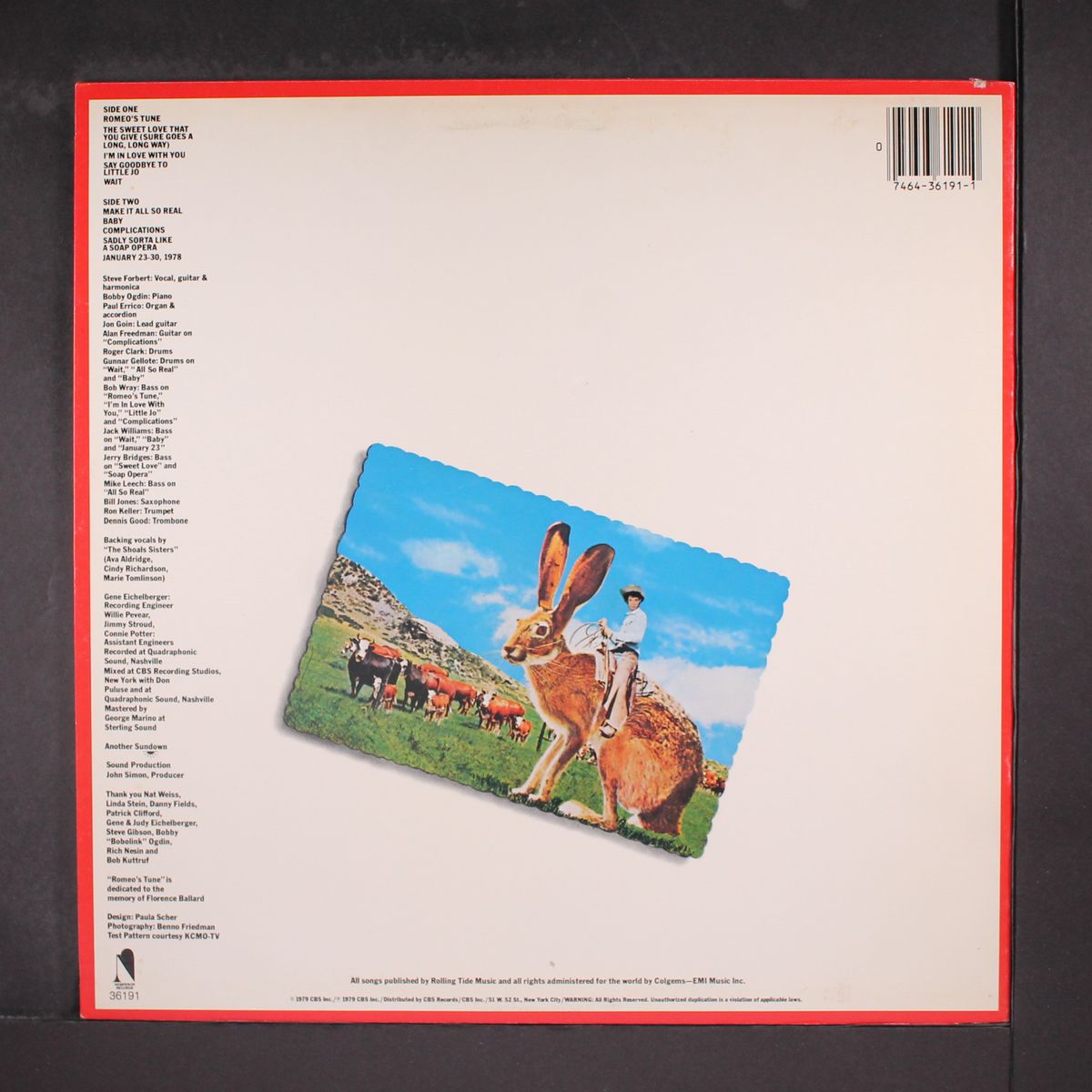 jackrabbit slim by STEVE FORBERT