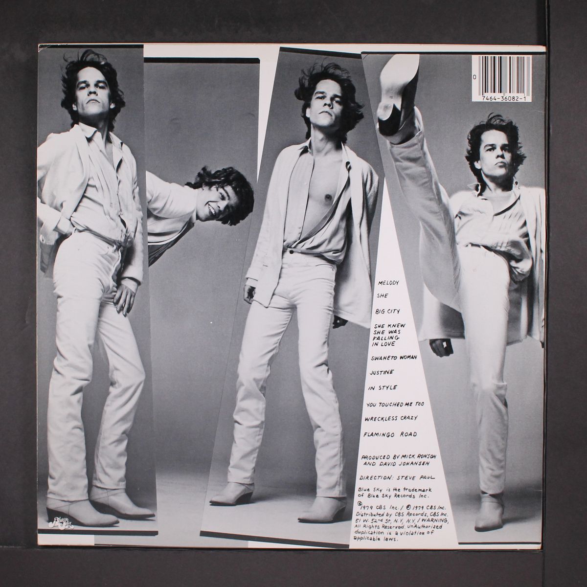 in style by DAVID JOHANSEN