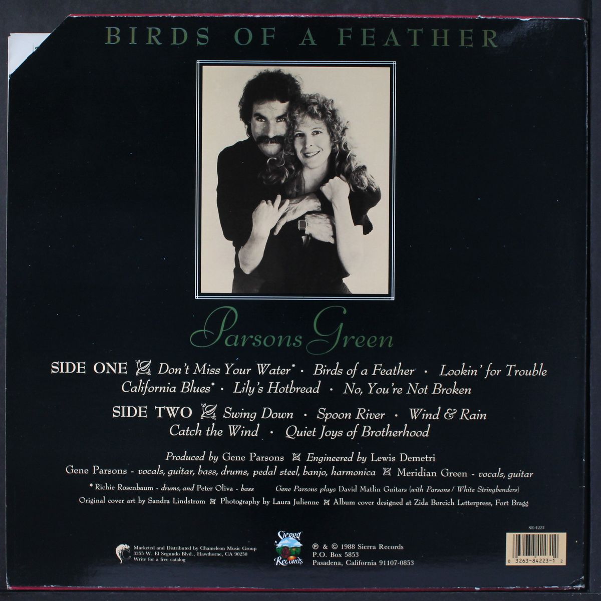 birds of a feather by PARSONS GREEN
