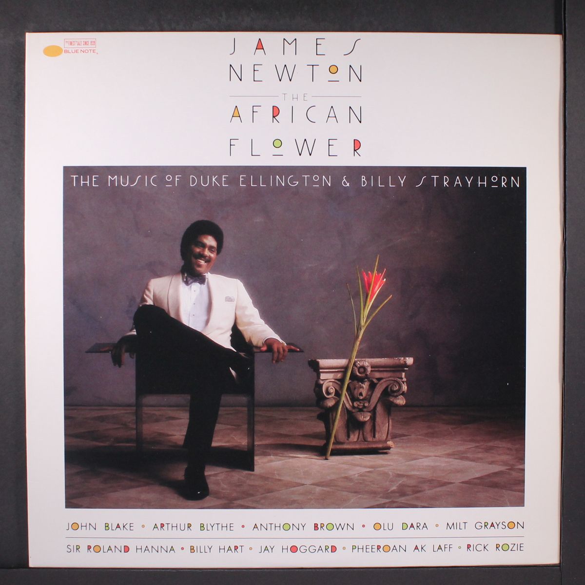 the african flower by JAMES NEWTON