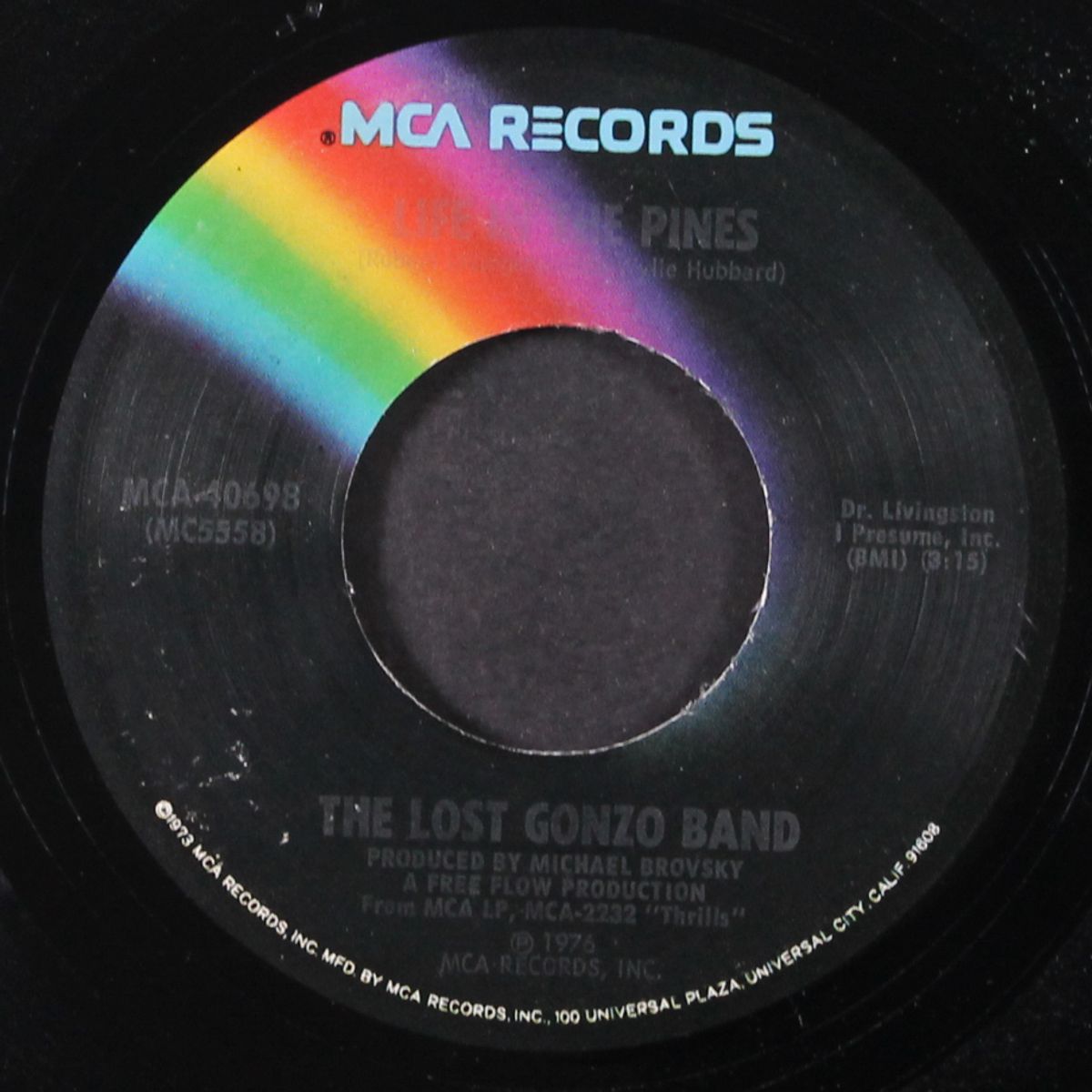 the last thing i needed by LOST GONZO BAND