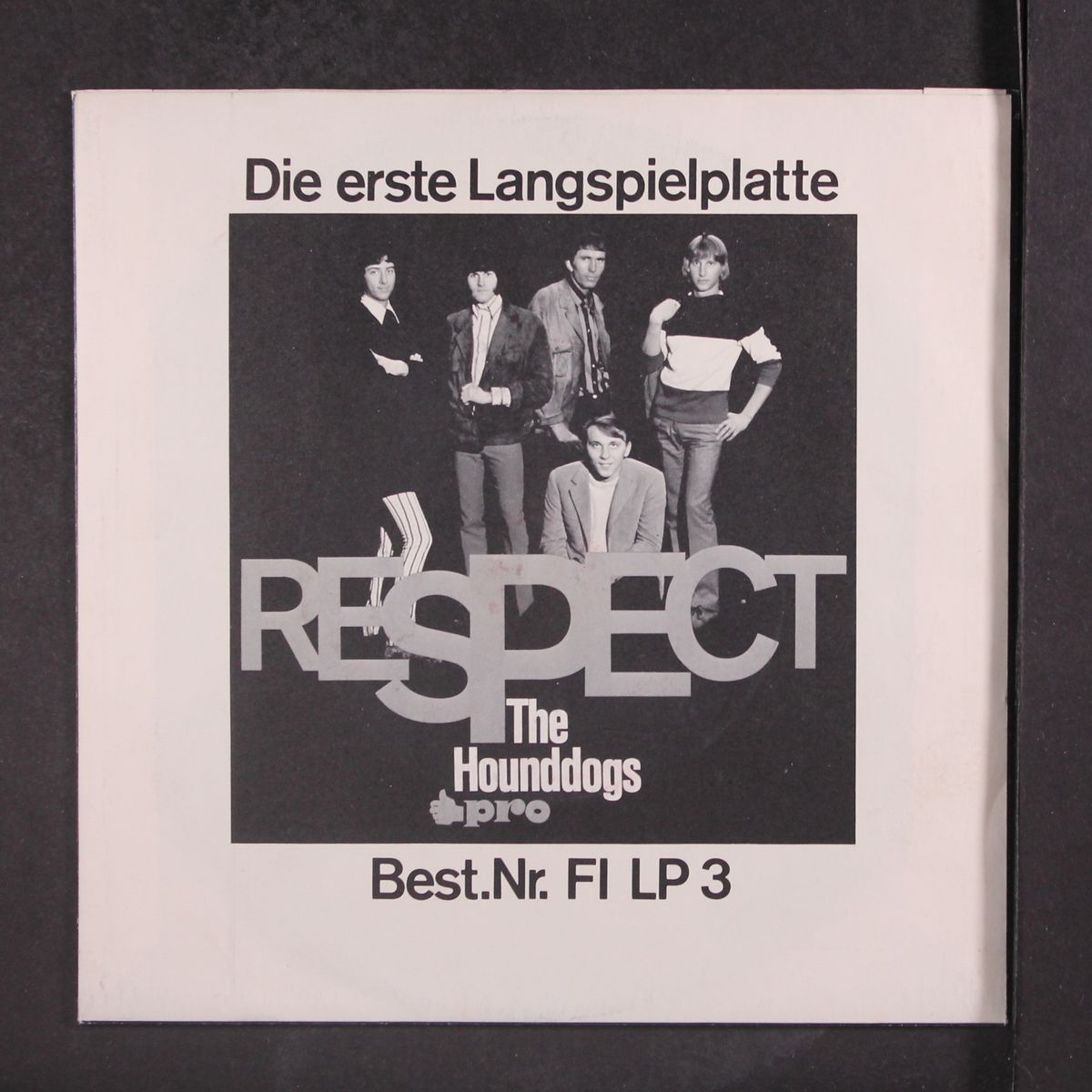 respect / shake by HOUND DOGS