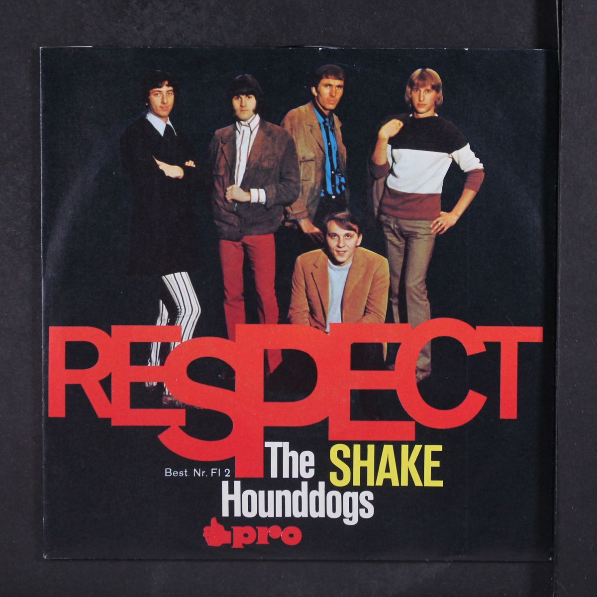 respect / shake by HOUND DOGS