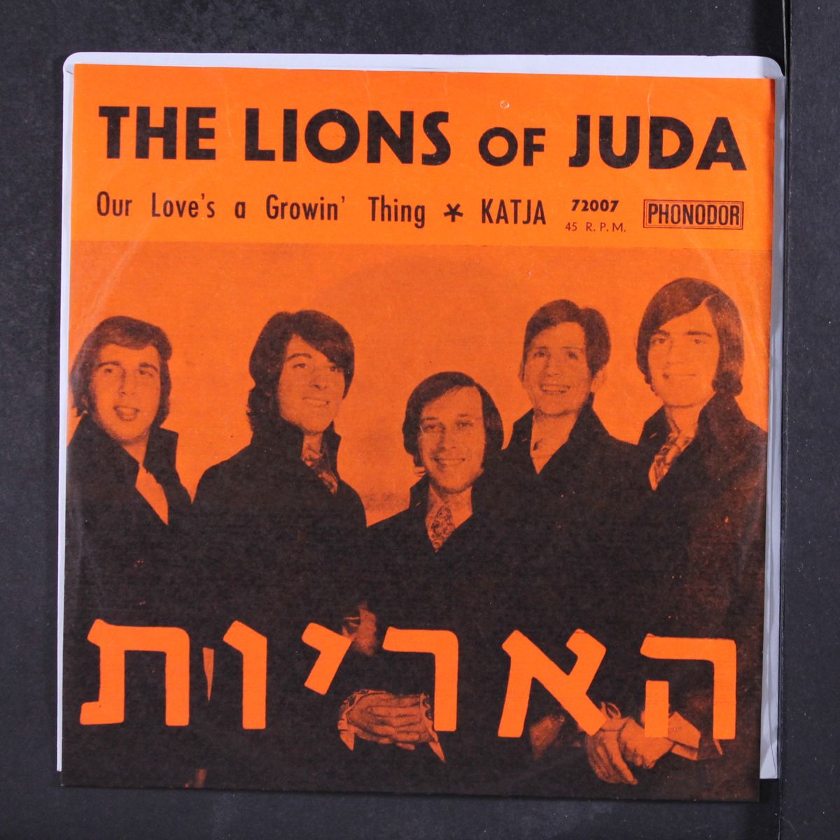our love's a growin' thing / katja by LIONS OF JUDA