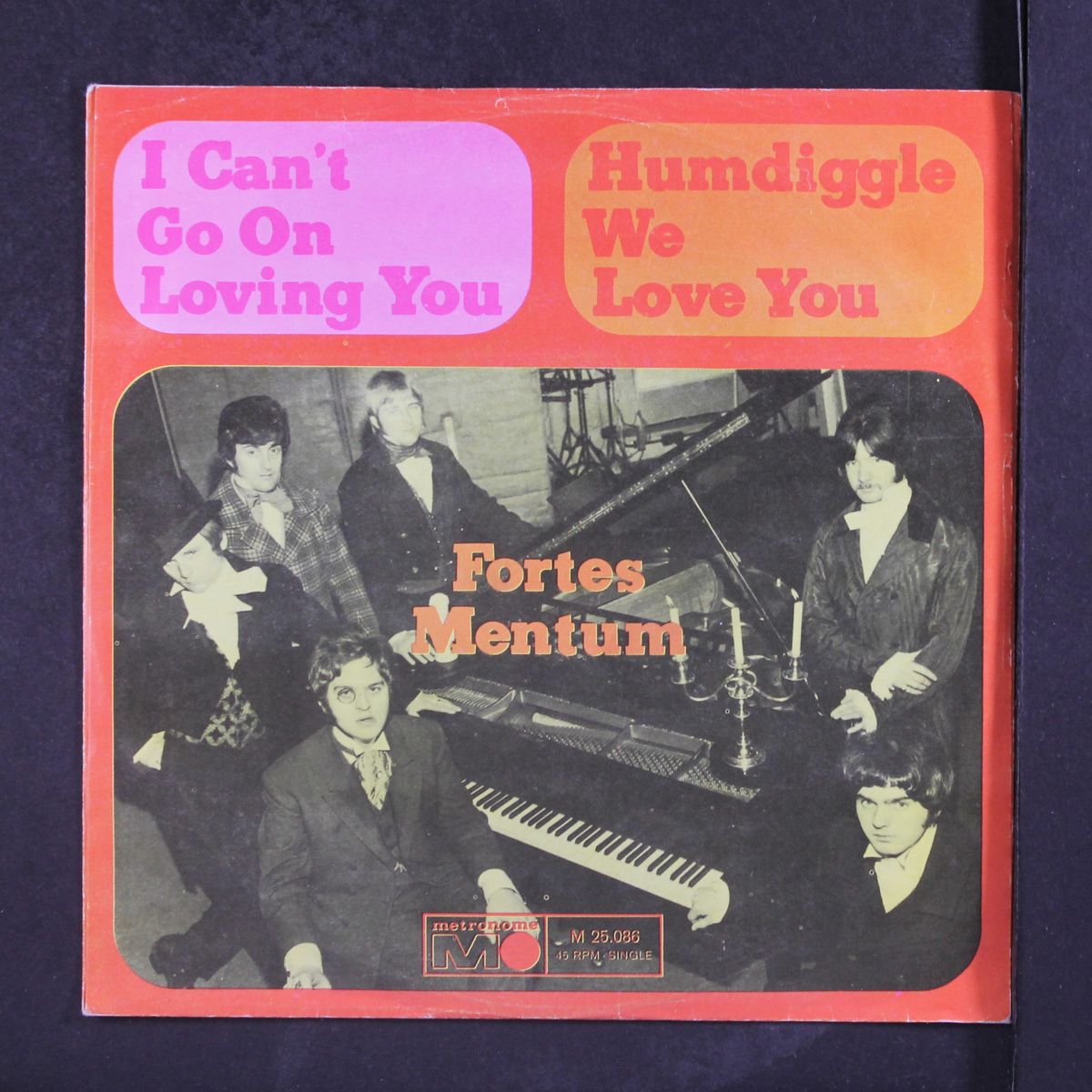 i can't go on loving you / humdiggle we love you by FORTES MENTUM