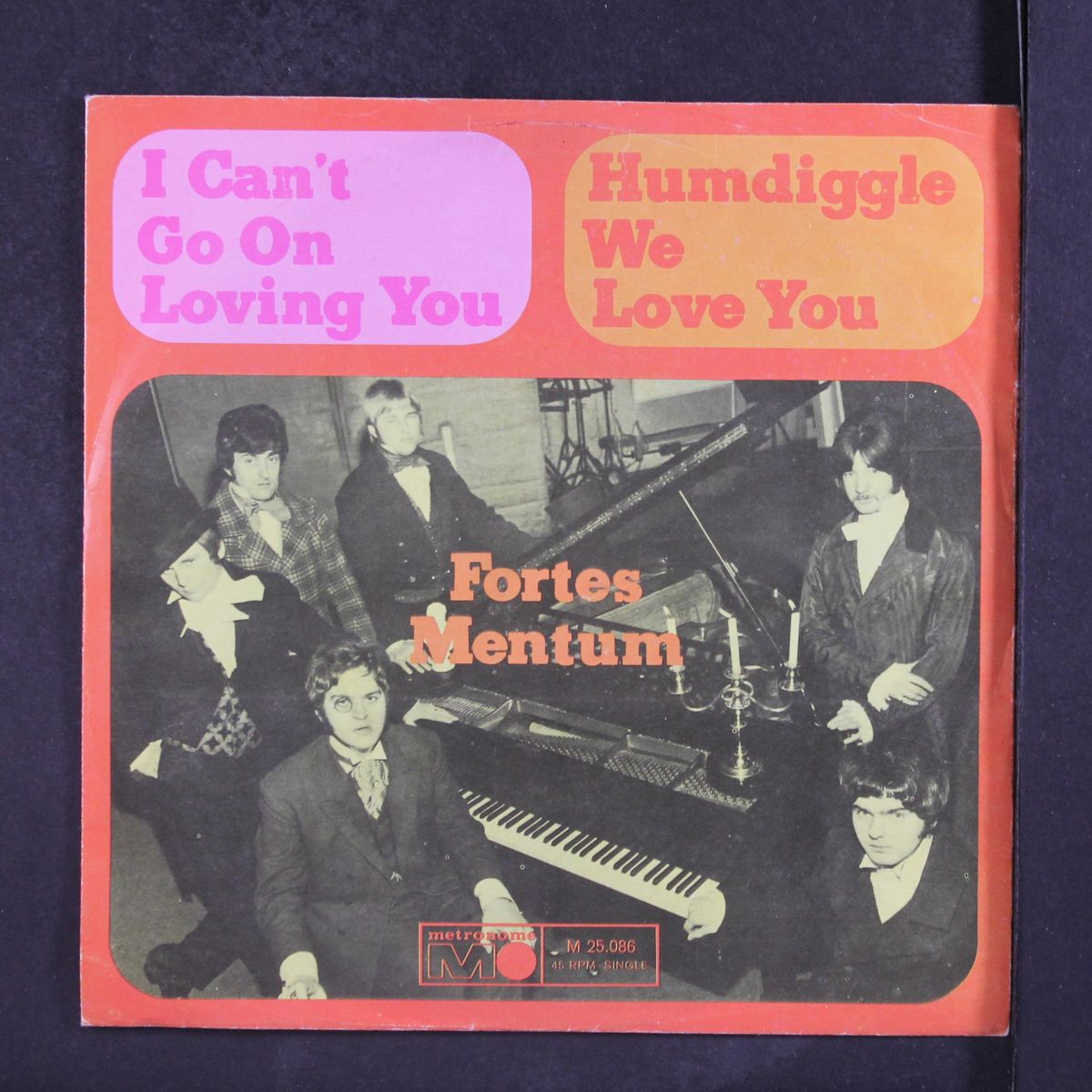 i can't go on loving you / humdiggle we love you by FORTES MENTUM