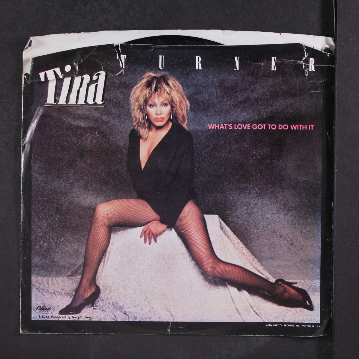 what's love got to do with it by TINA TURNER