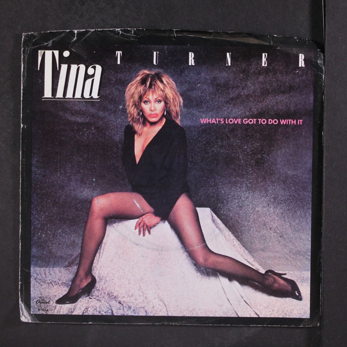 what's love got to do with it by TINA TURNER