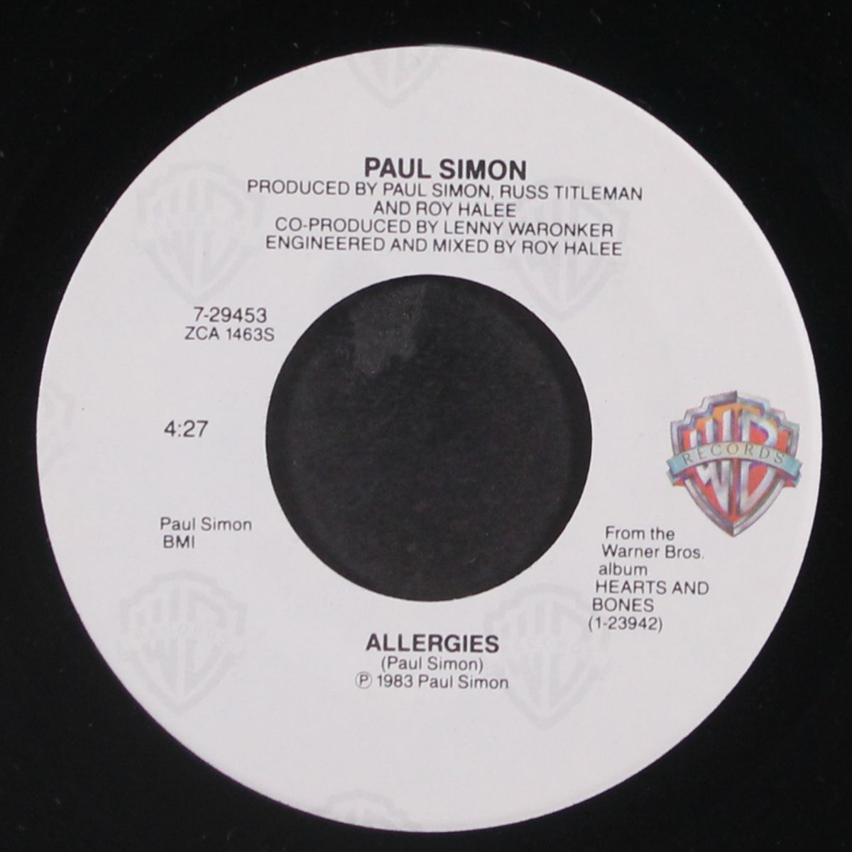 allergies by PAUL SIMON