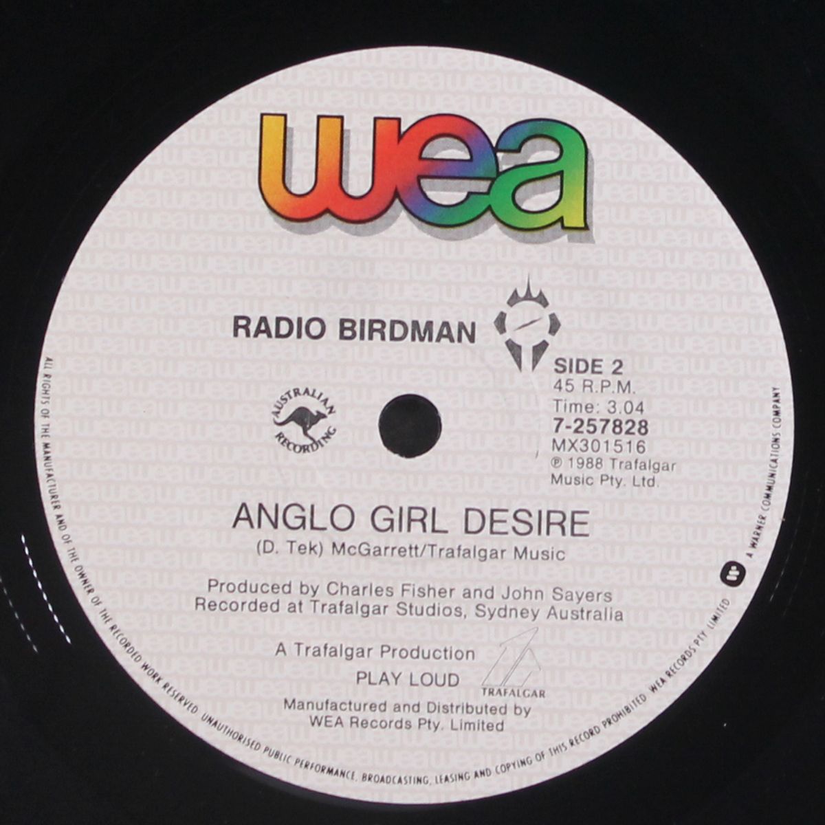 aloha steve and danno by RADIO BIRDMAN