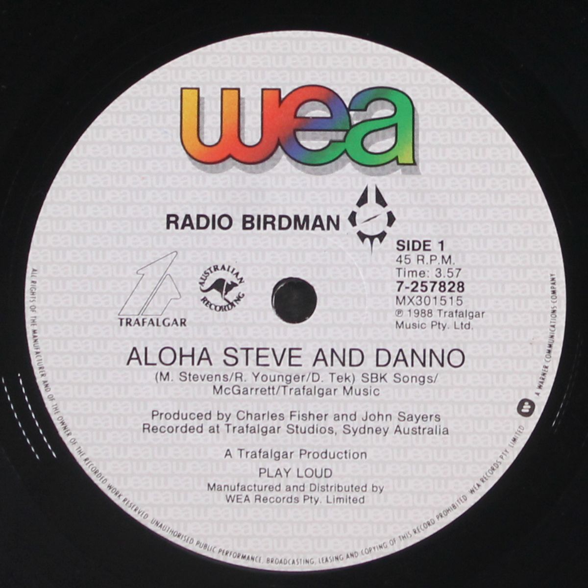 aloha steve and danno by RADIO BIRDMAN