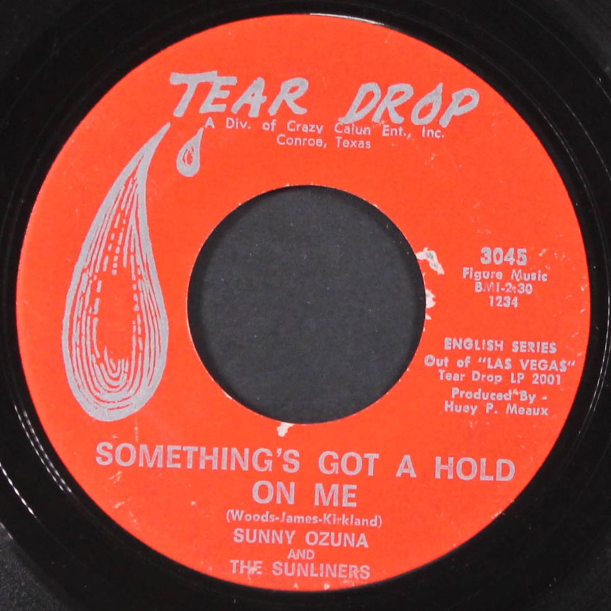 teenage promise / something's got a hold on me by SUNNY OZUNA & THE SUNLINERS