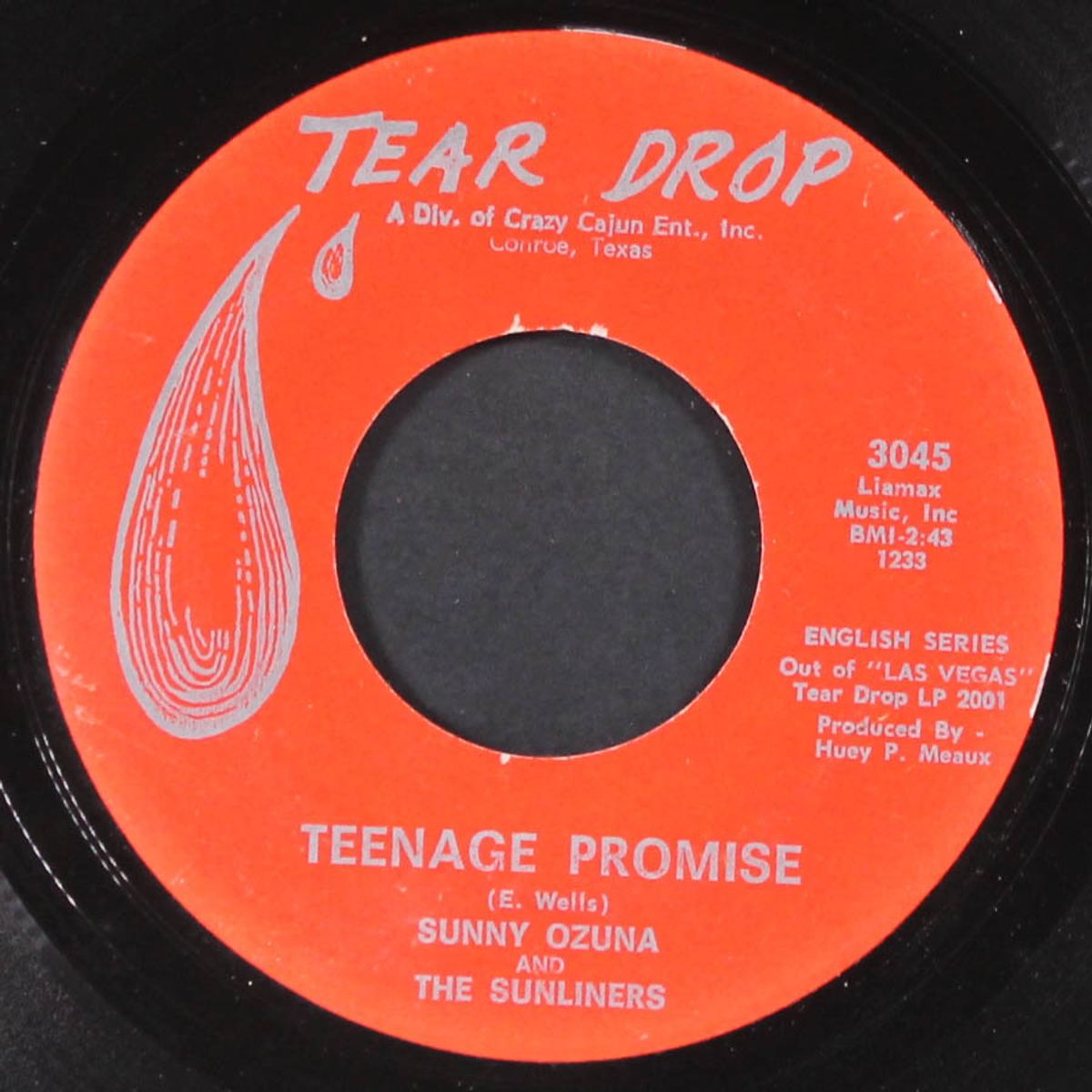 teenage promise / something's got a hold on me by SUNNY OZUNA & THE SUNLINERS