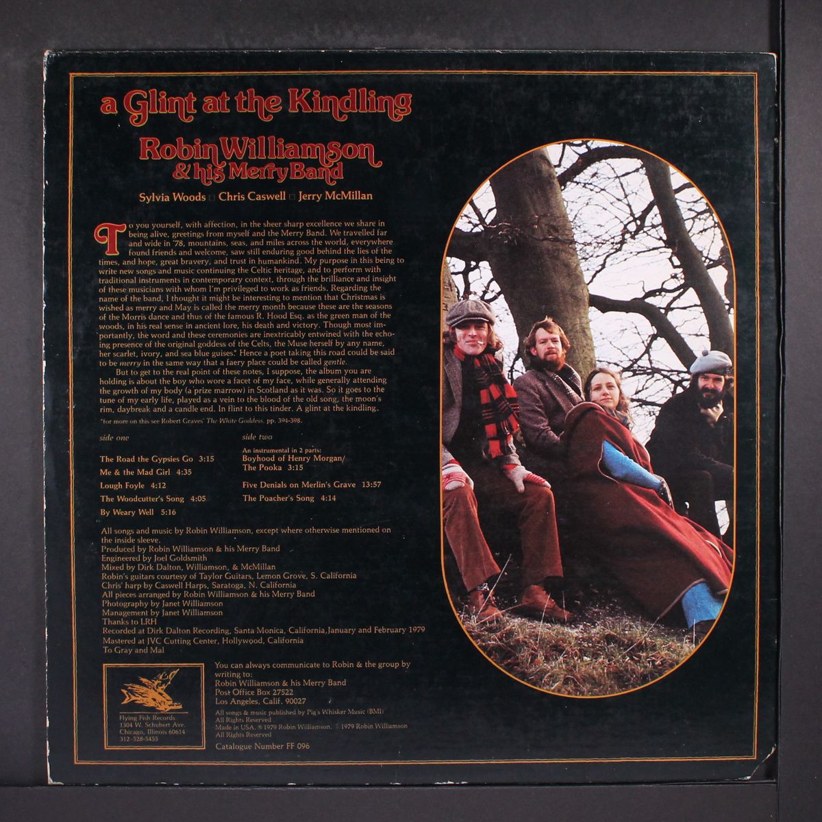 a glint at the kindling by ROBIN WILLIAMSON