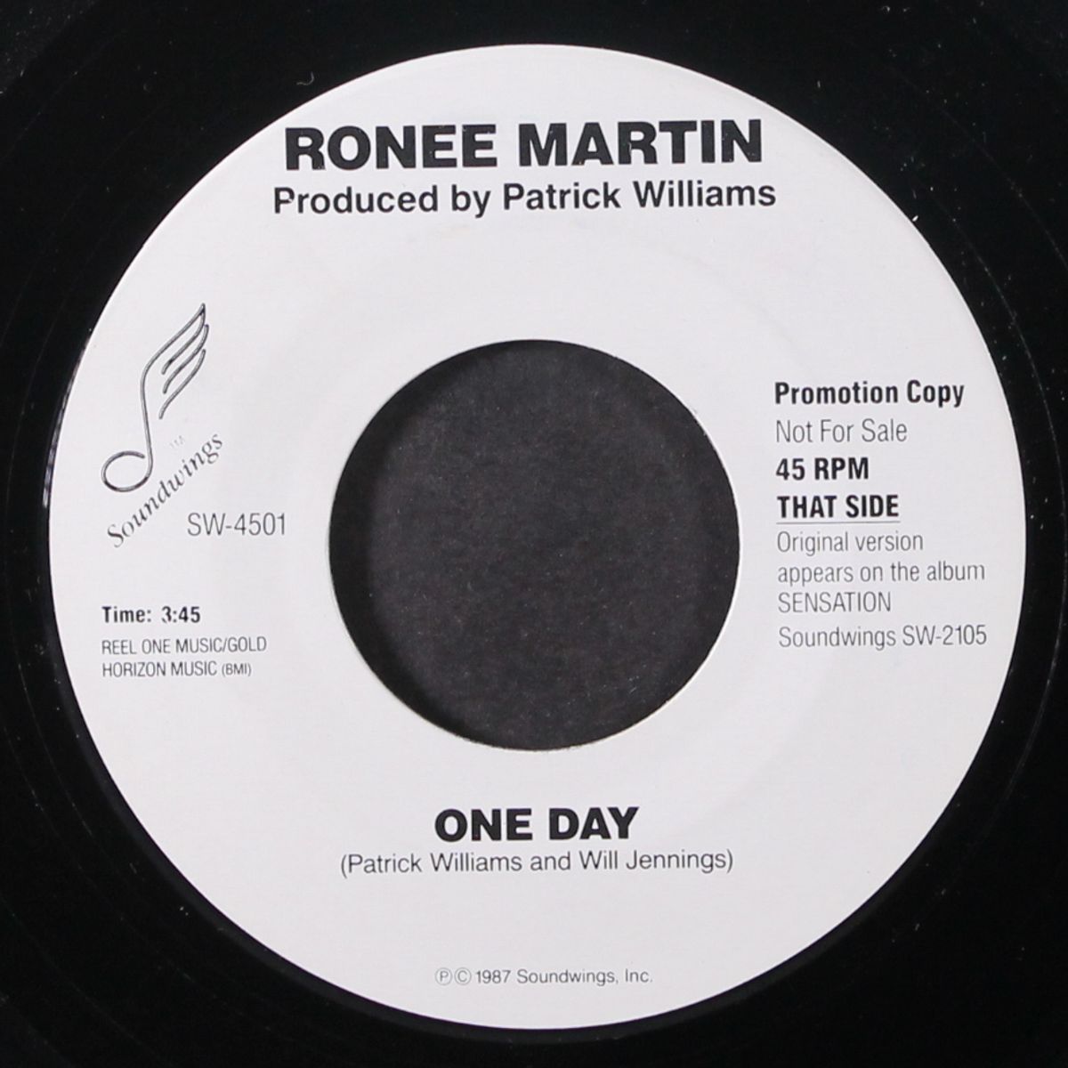 it keeps you running / one day by RONEE MARTIN